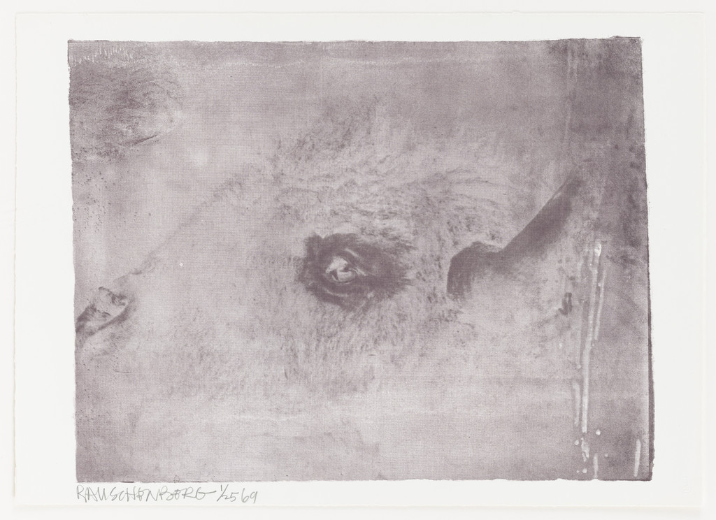 Unit (Buffalo)