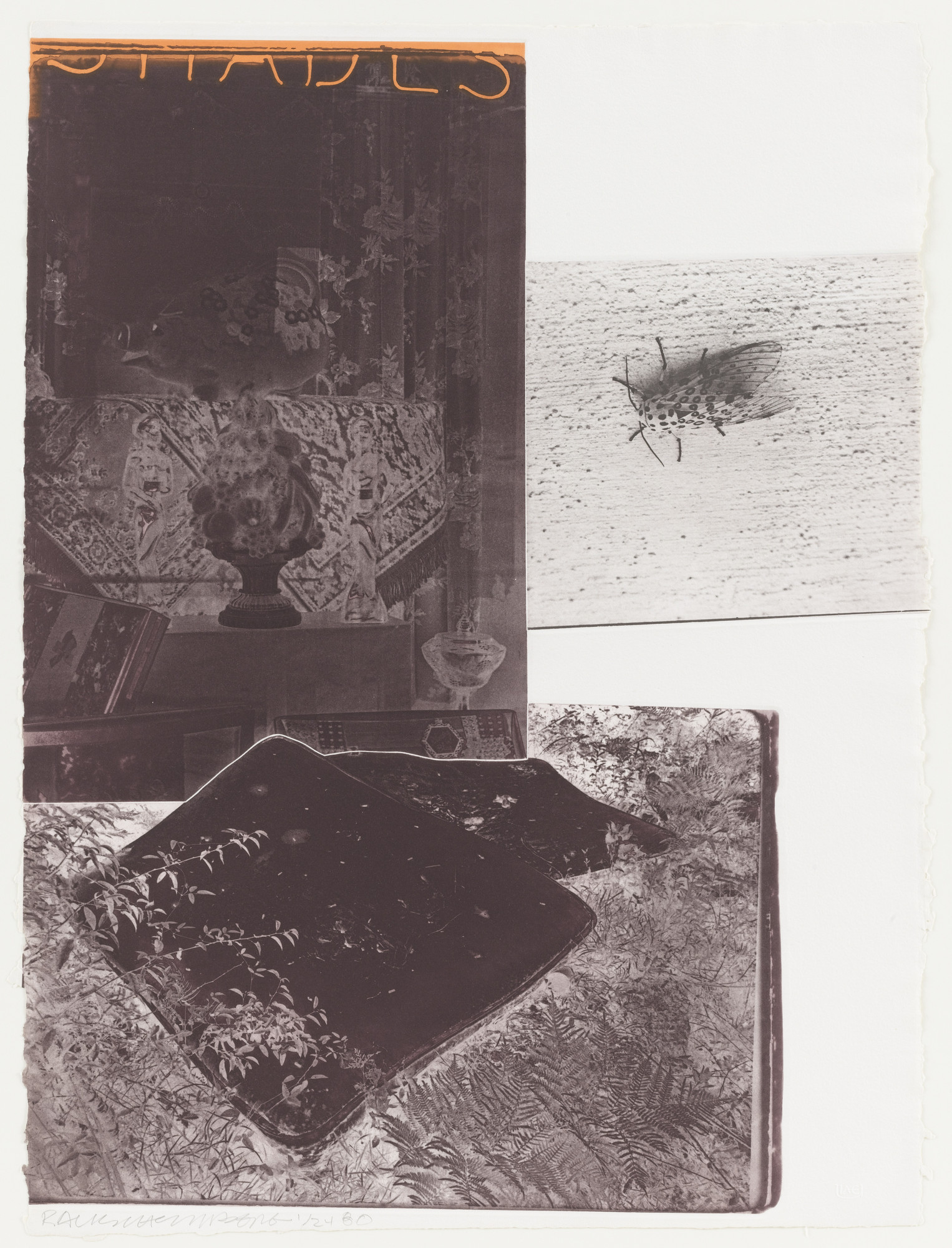 Robert Rauschenberg. The Razorback Bunch (Etching I)