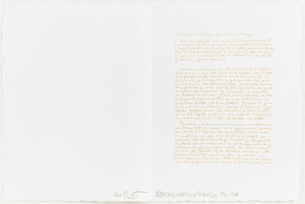 Page 6 (in-text plate, folio 14) from TRACES SUSPECTES EN SURFACE