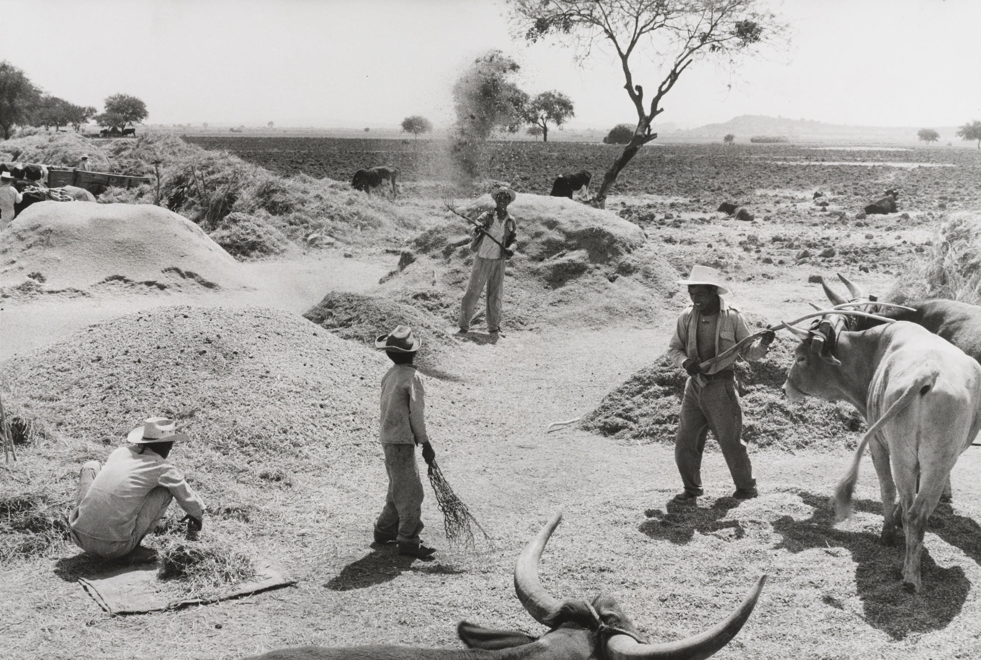 Henri Cartier-Bresson. Mexico