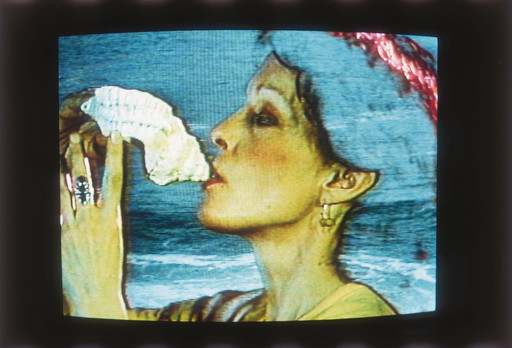 Joan Jonas. Double Lunar Dogs. 1984