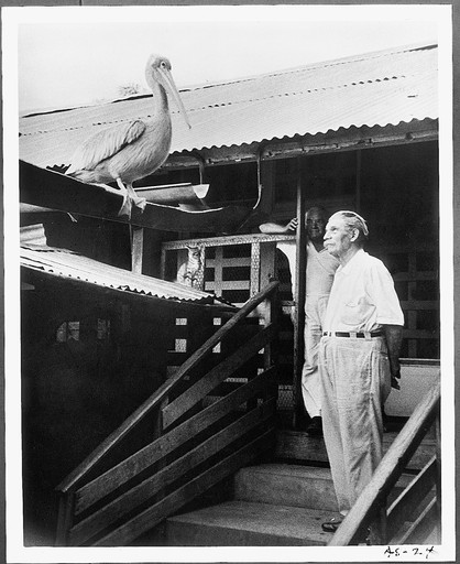 Jerome Hill. Albert Schweitzer. 1957