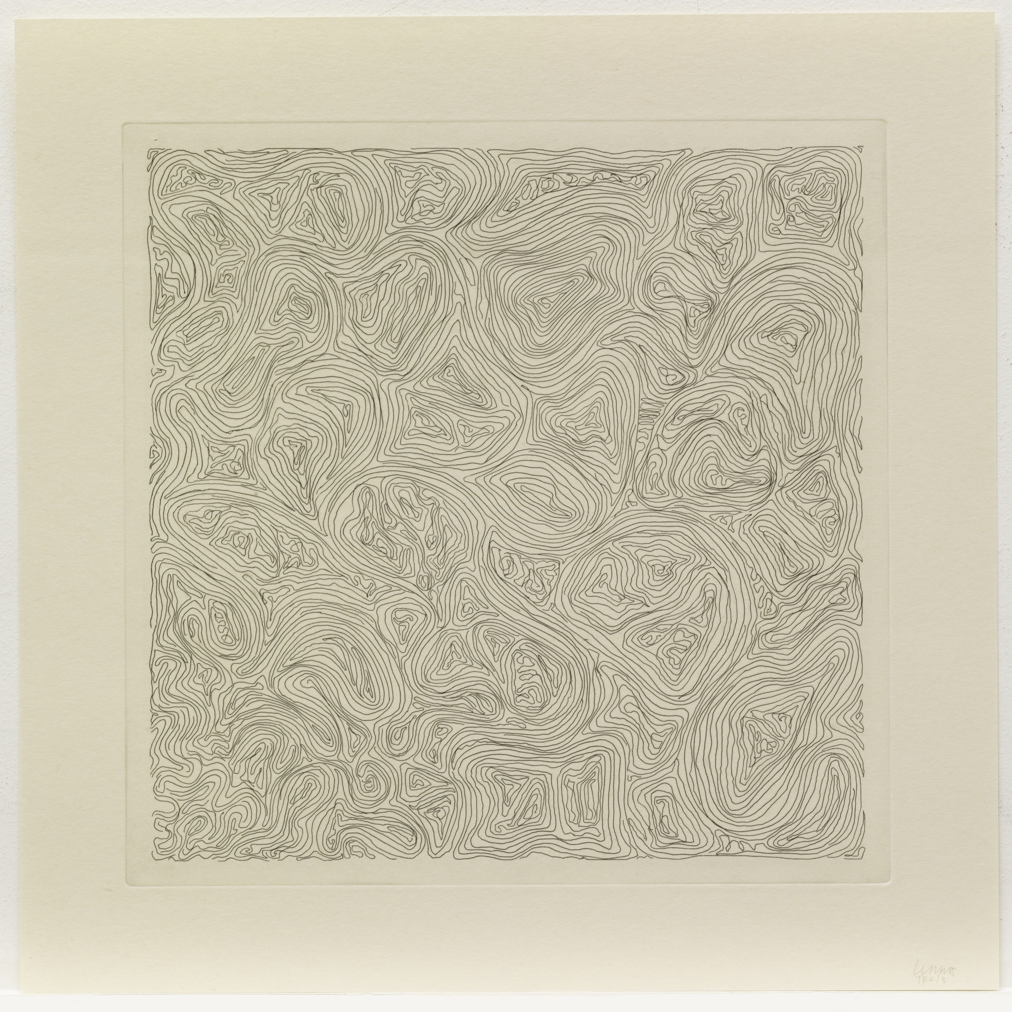 Sol LeWitt. Line Etching V
