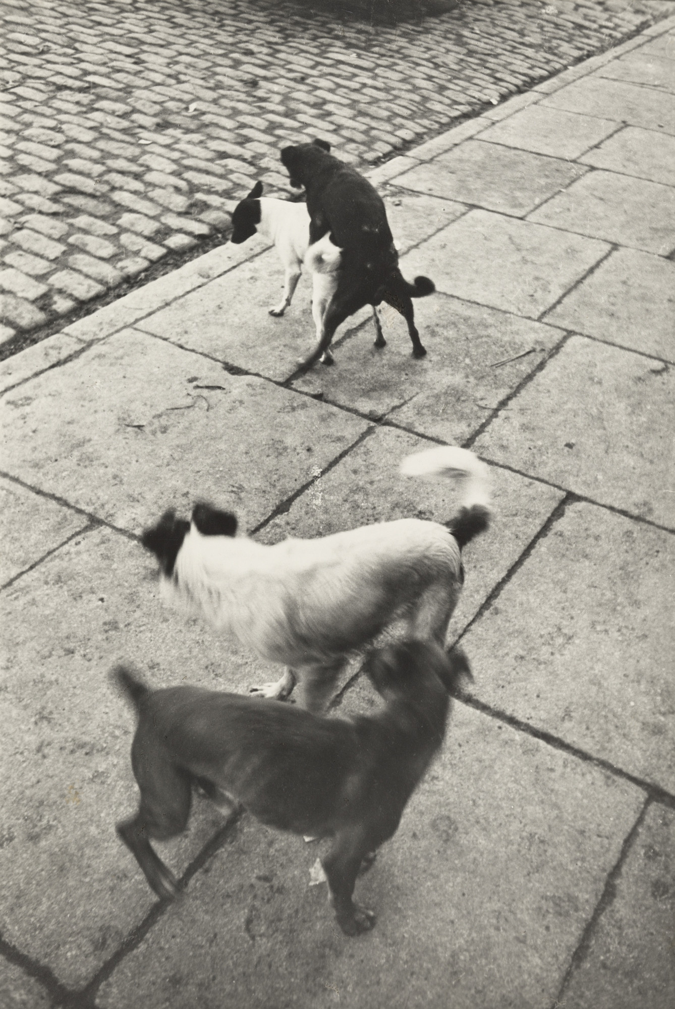 Henri Cartier-Bresson. Paris