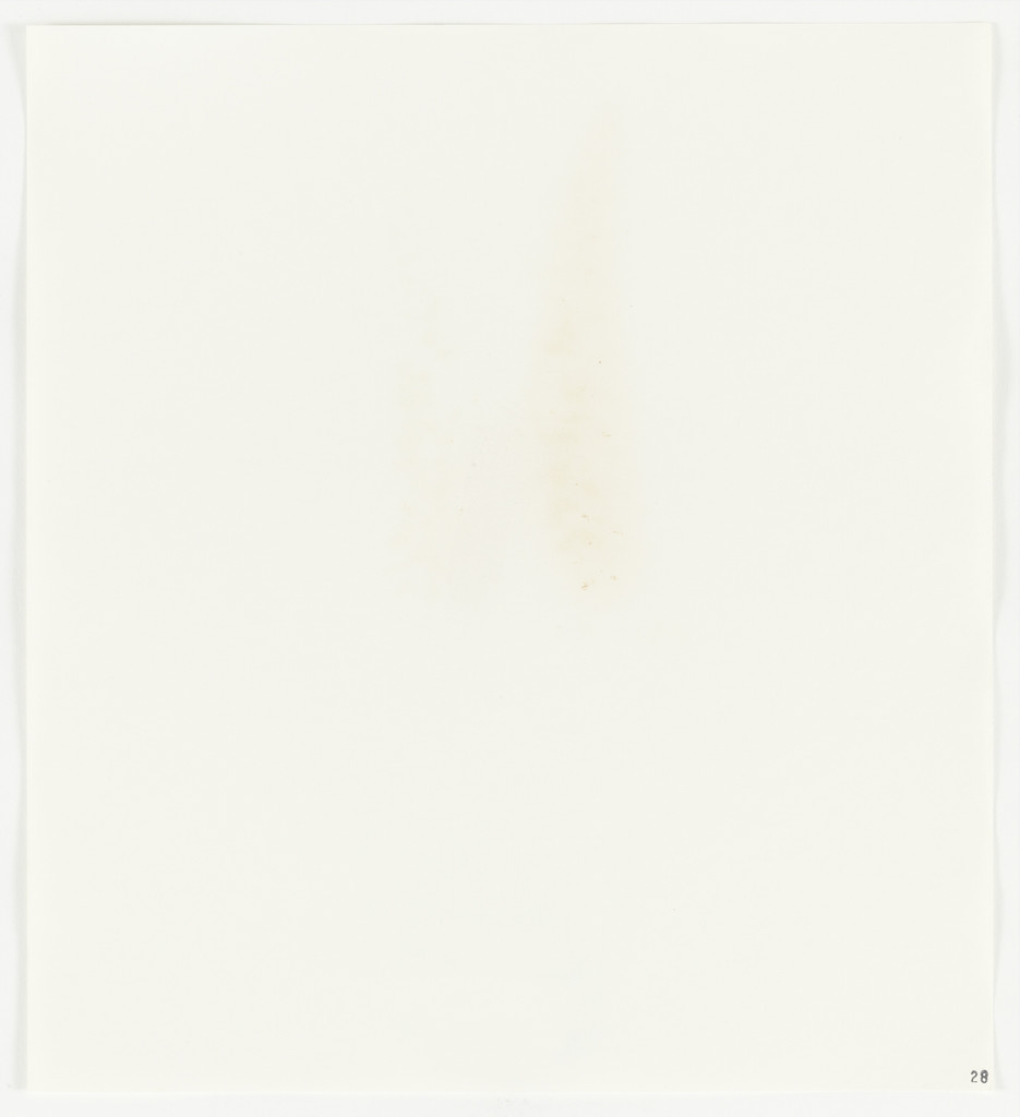 Butch Wax with lanolin from Stains