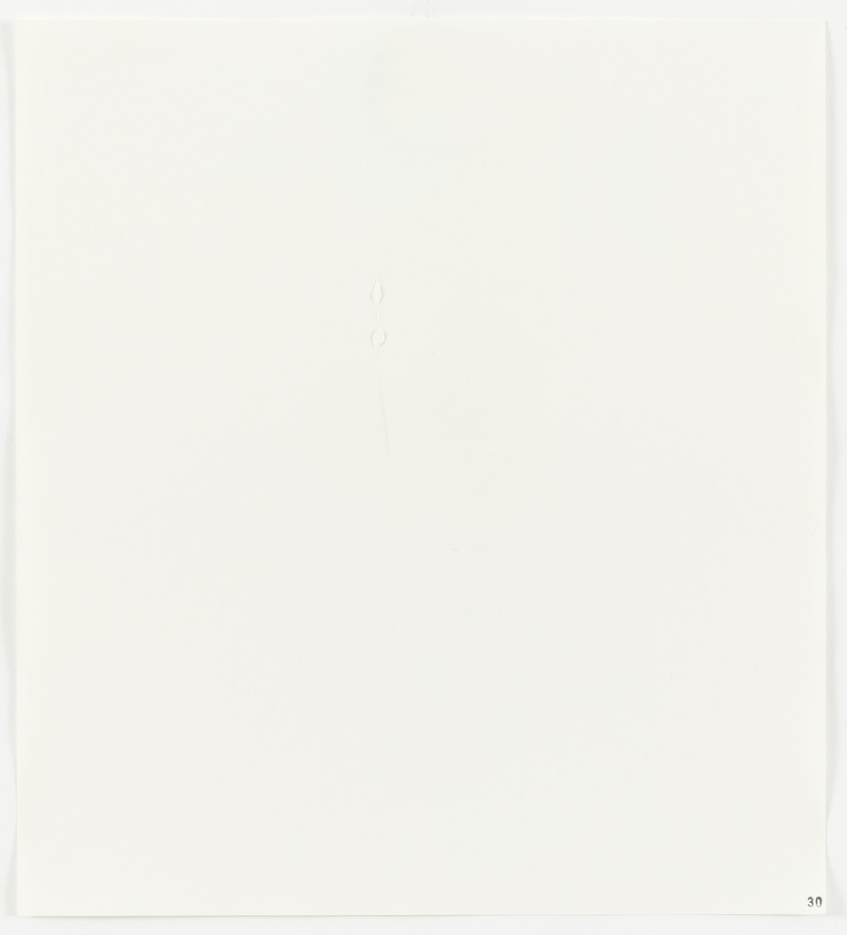 Glue (Wilhold Glu-bird) from Stain