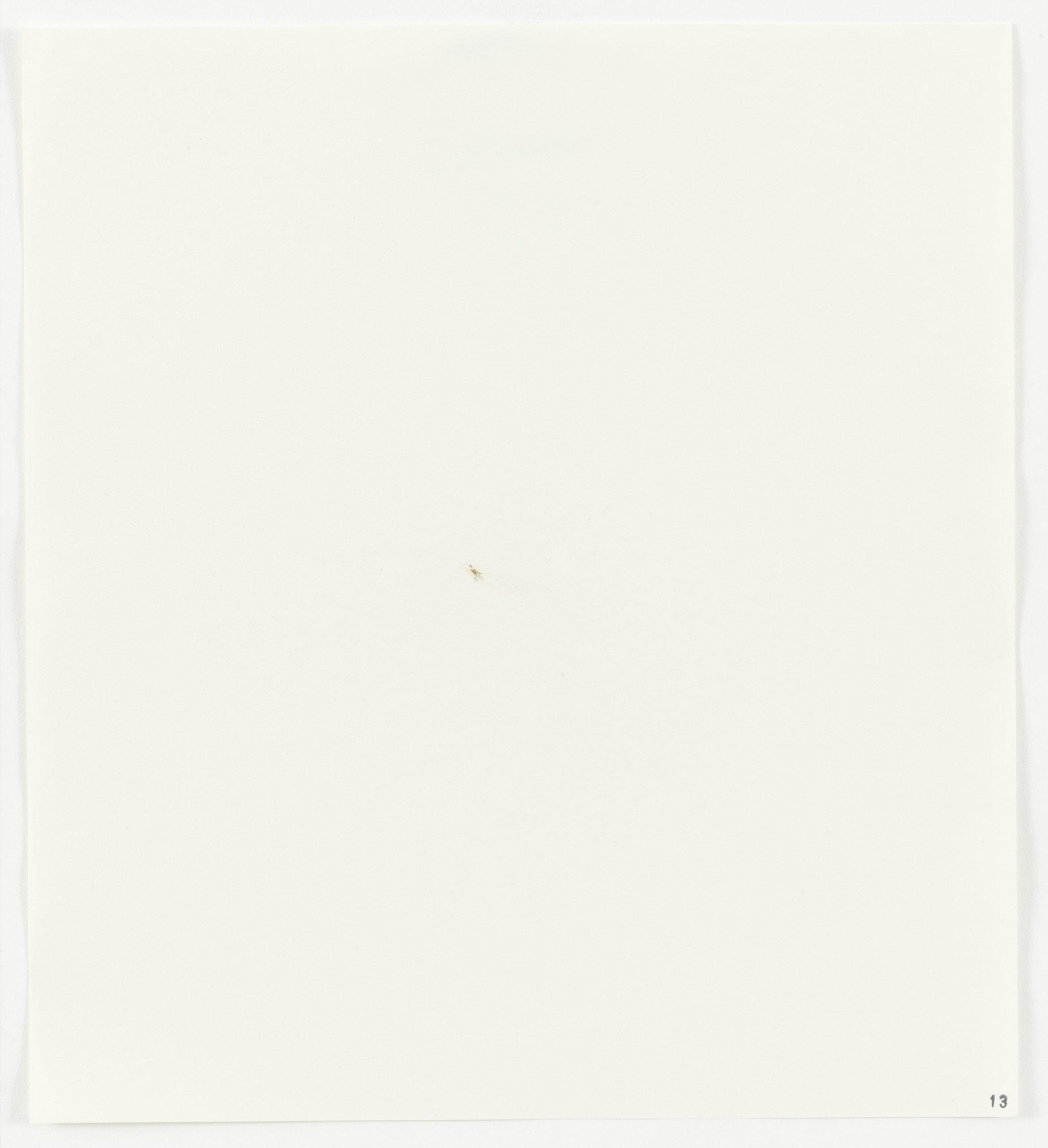 Edward Ruscha. Ant from Stains