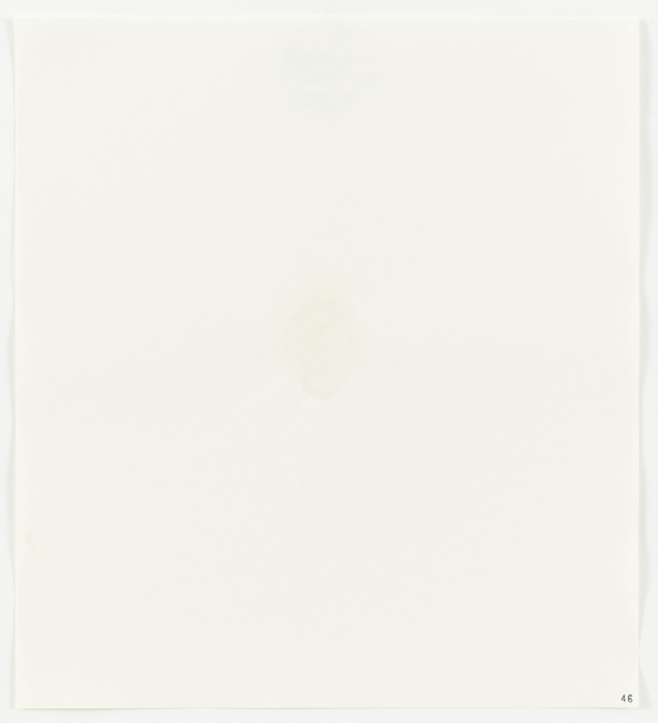 Egg White from Stains