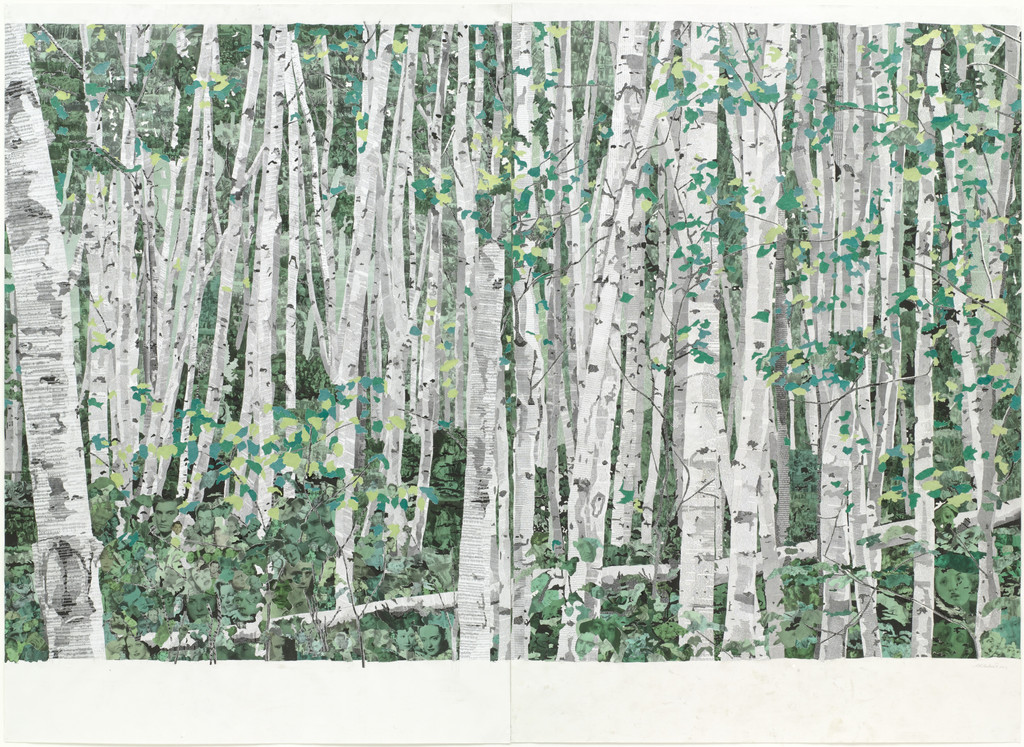 You Can't See the Forest for the Trees