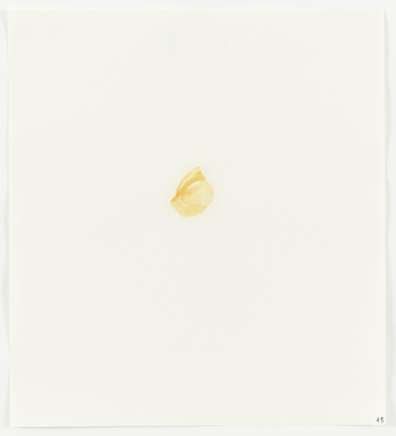 Edward Ruscha. Egg Yolk from Stains. 1969