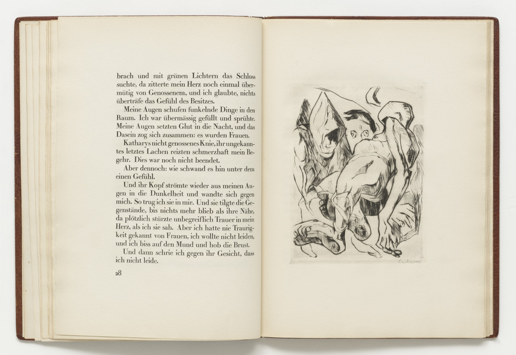 Plate (facing page 28) from Die Fürstin (The Duchess)