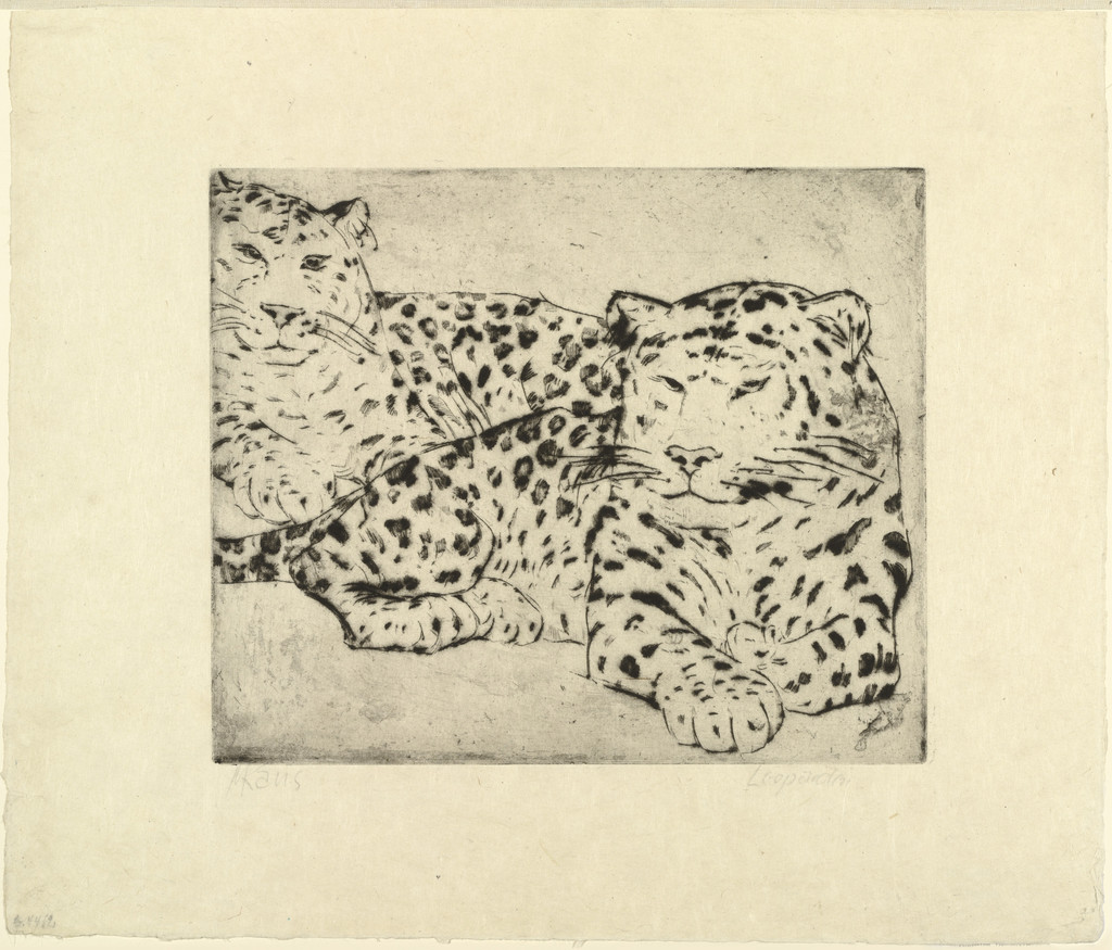 Leopards (Leoparden)