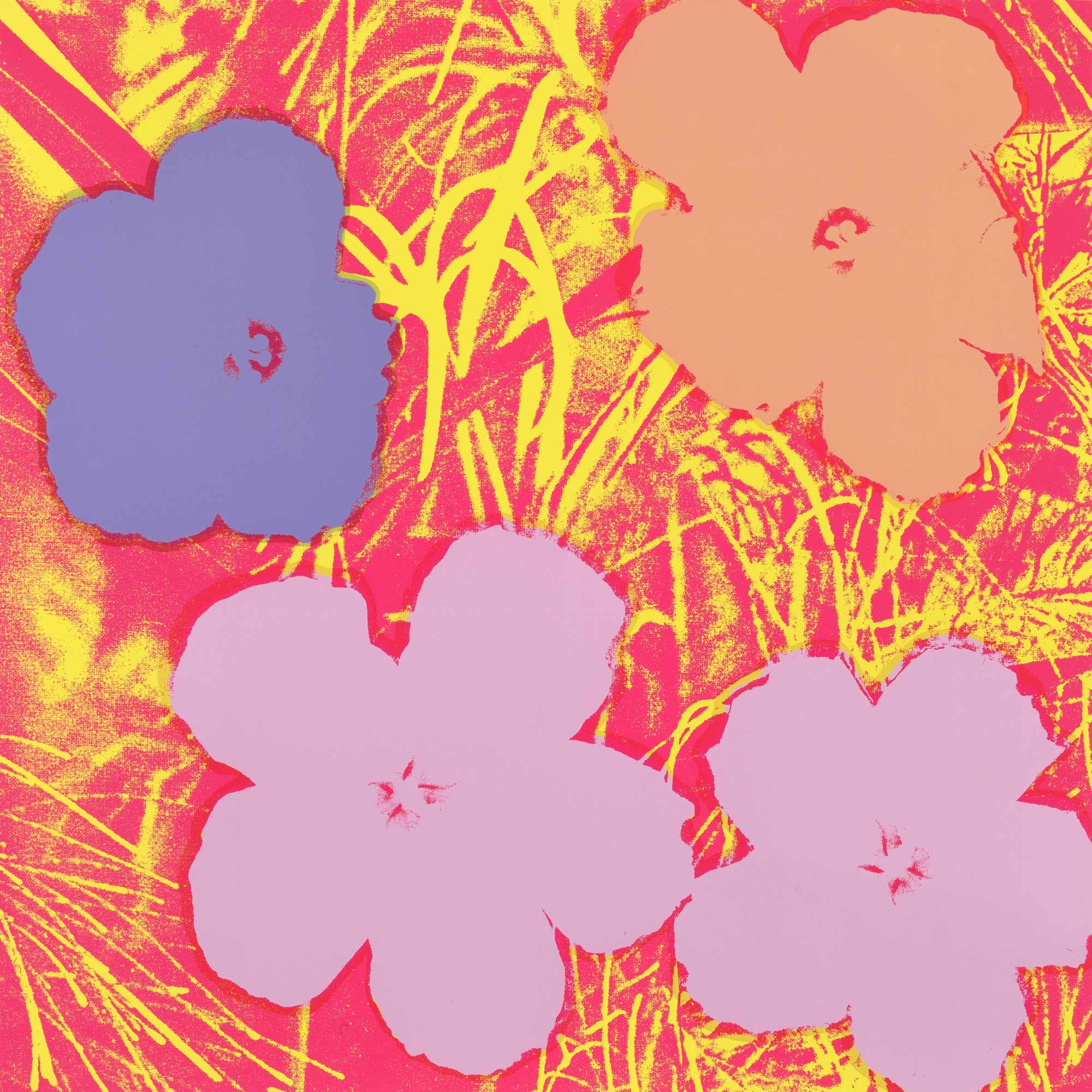 Andy Warhol Untitled From Flowers 1970 Moma