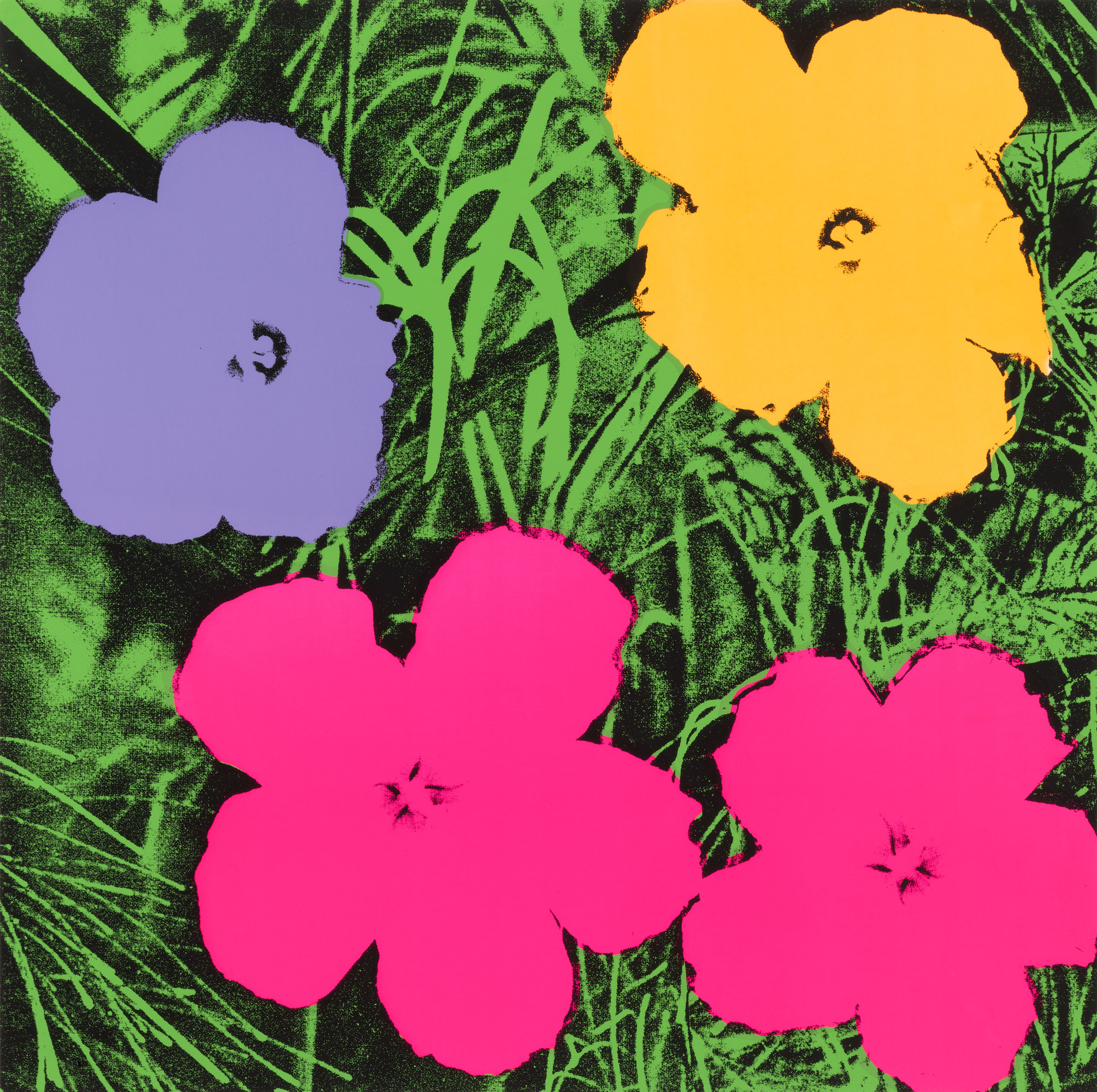Andy Warhol. Untitled from Flowers. 1970 | MoMA