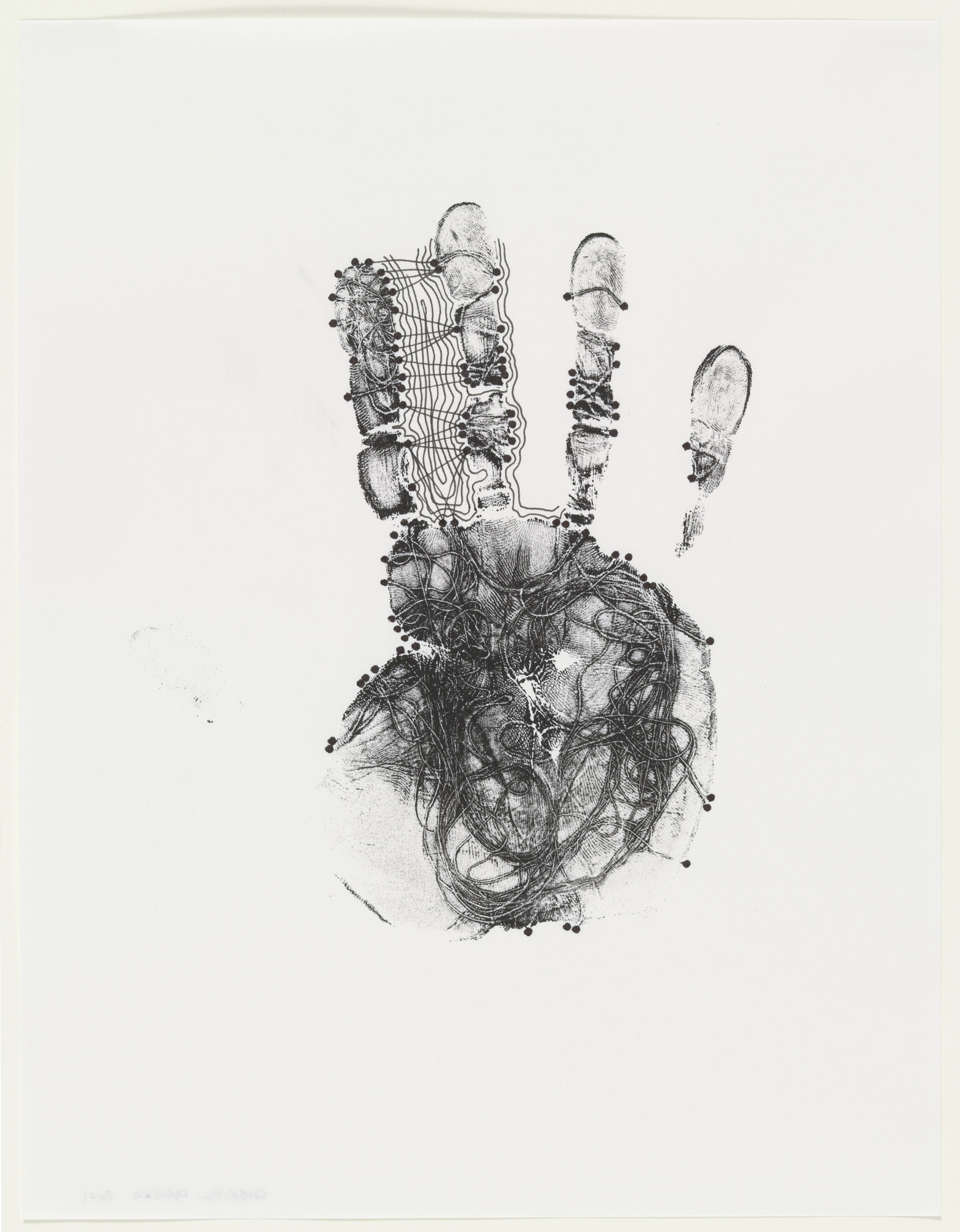 Gabriel Orozco. Fear Not. 2001 | MoMA