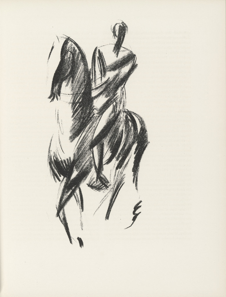 Rider