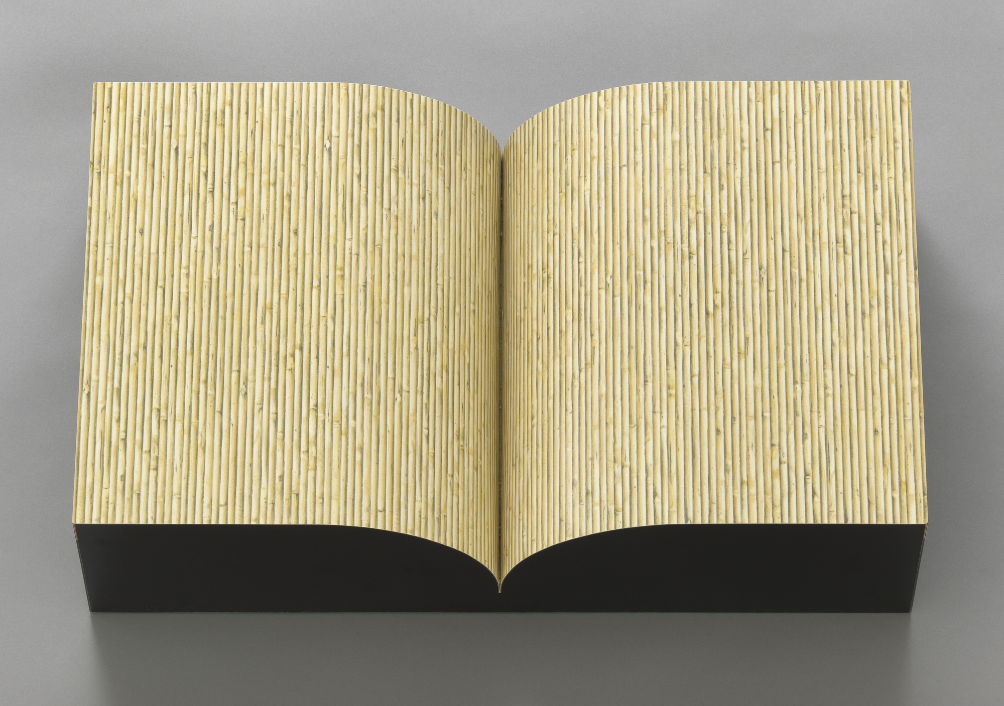 Richard Artschwager. Book. 1987 | MoMA