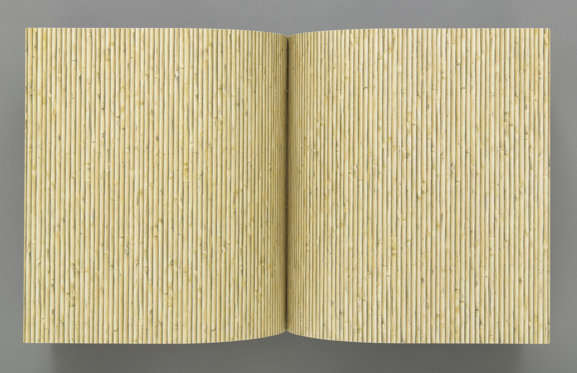 Richard Artschwager. Book. 1987