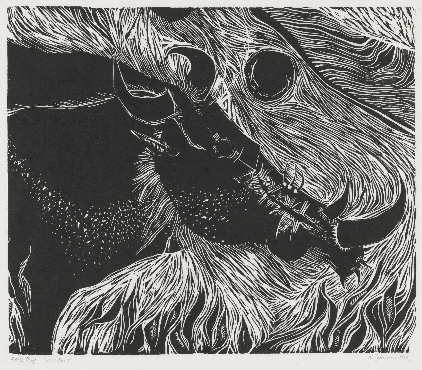 Norman Catherine. Wild Boar. 1968