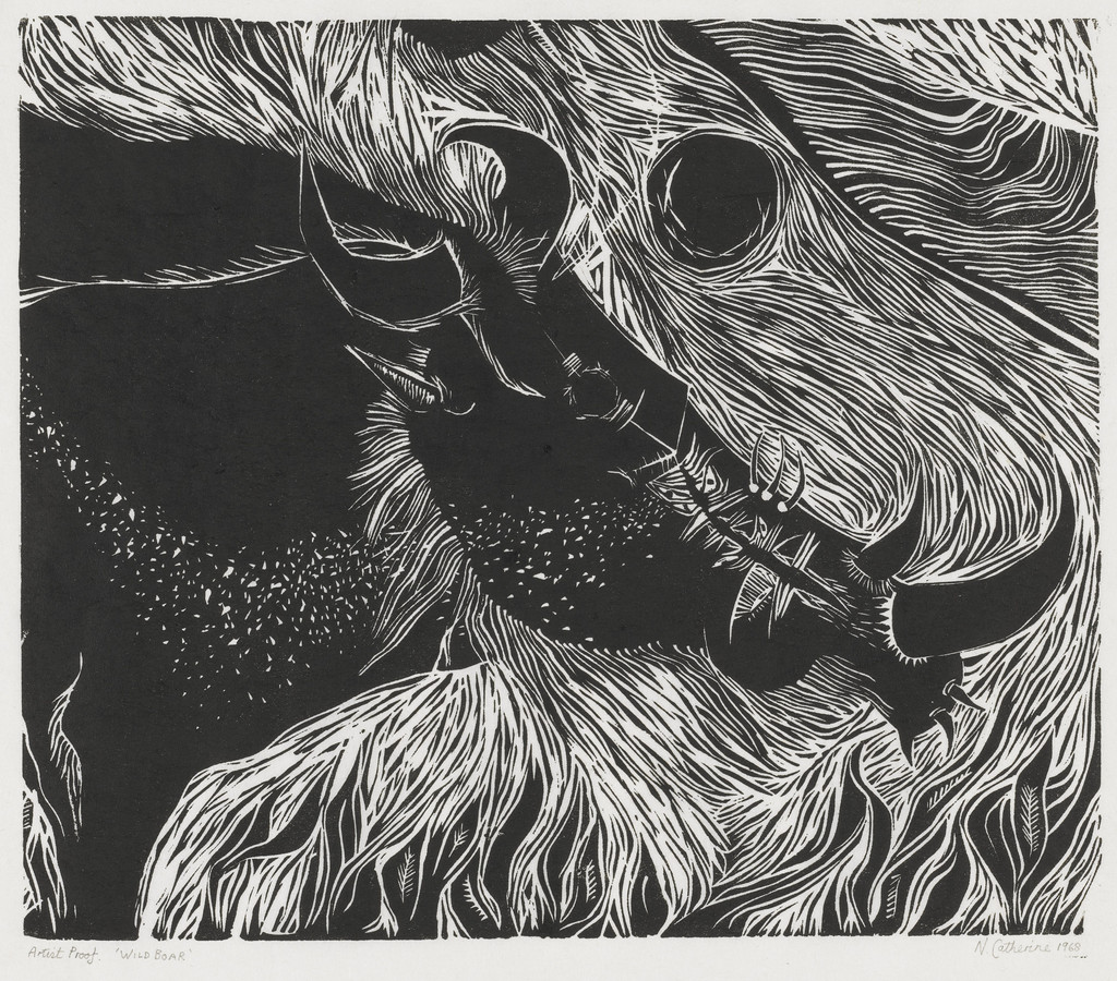 Wild Boar