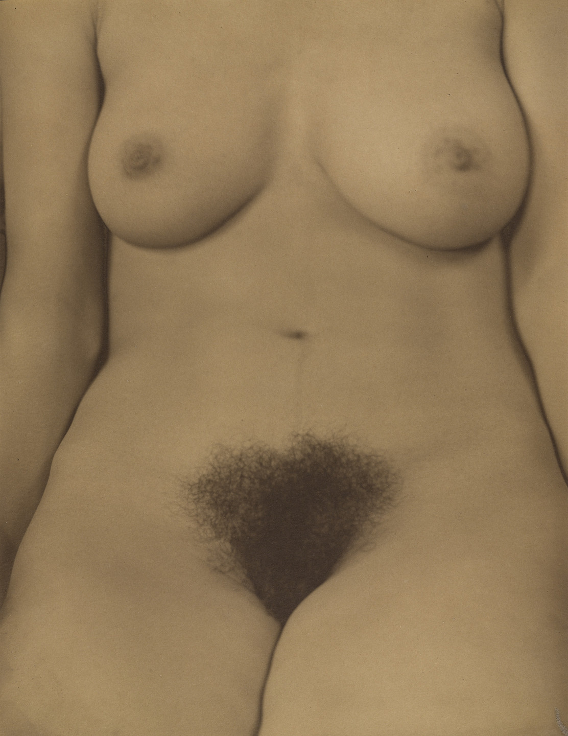 Alfred Stieglitz. Georgia O&#39;Keeffe--Torso. 1918-19