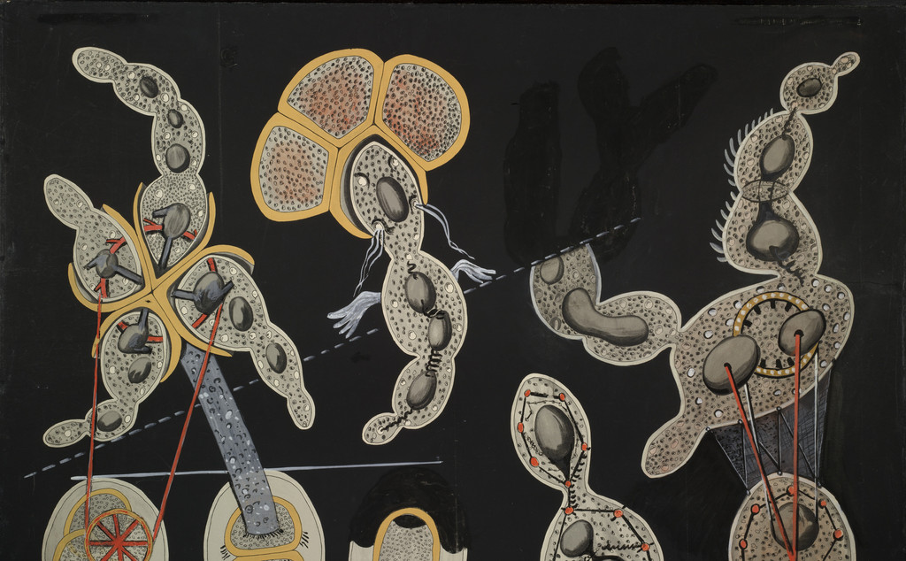 The Gramineous Bicycle Garnished with Bells the Dappled Fire Damps and the Echinoderms Bending the Spine to Look for Caresses (La Biciclette graminée garnie de grelots les grisous grivelés et les échinodermes courbants l'échine pour quêter des caresses)