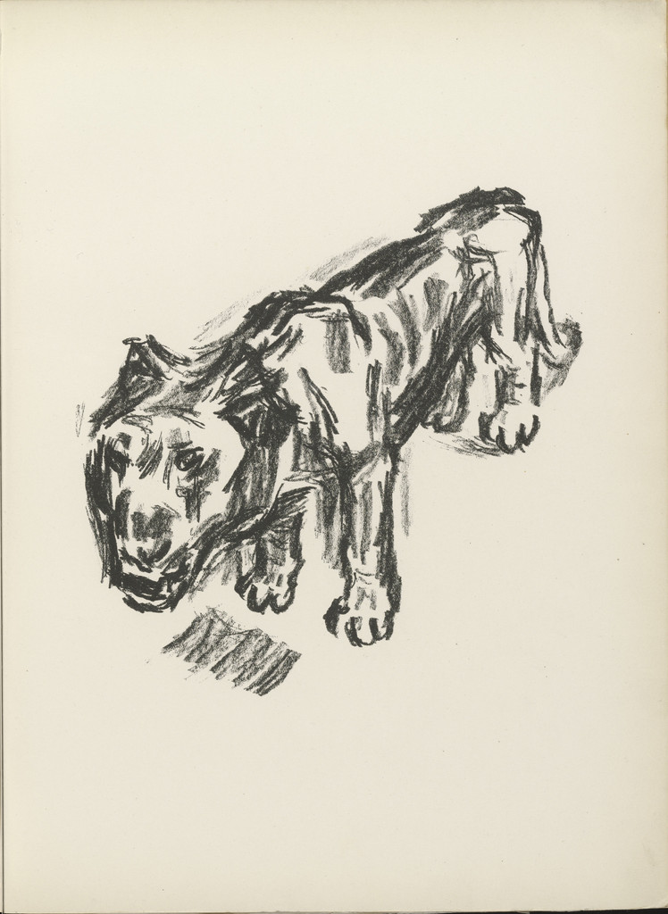 Lion (Löwe) (plate 28) from the illustrated book Deutsche Graphiker der Gegenwart (German Printmakers of Our Time)