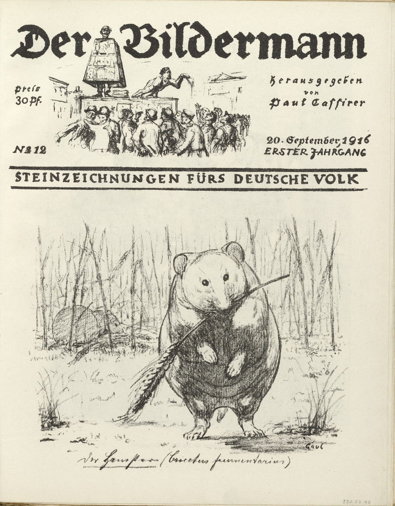 The Hamster (Der Hamster) (front cover, folio 22) from the periodical Der Bildermann, vol. 1, no. 12 (Sep 1916)