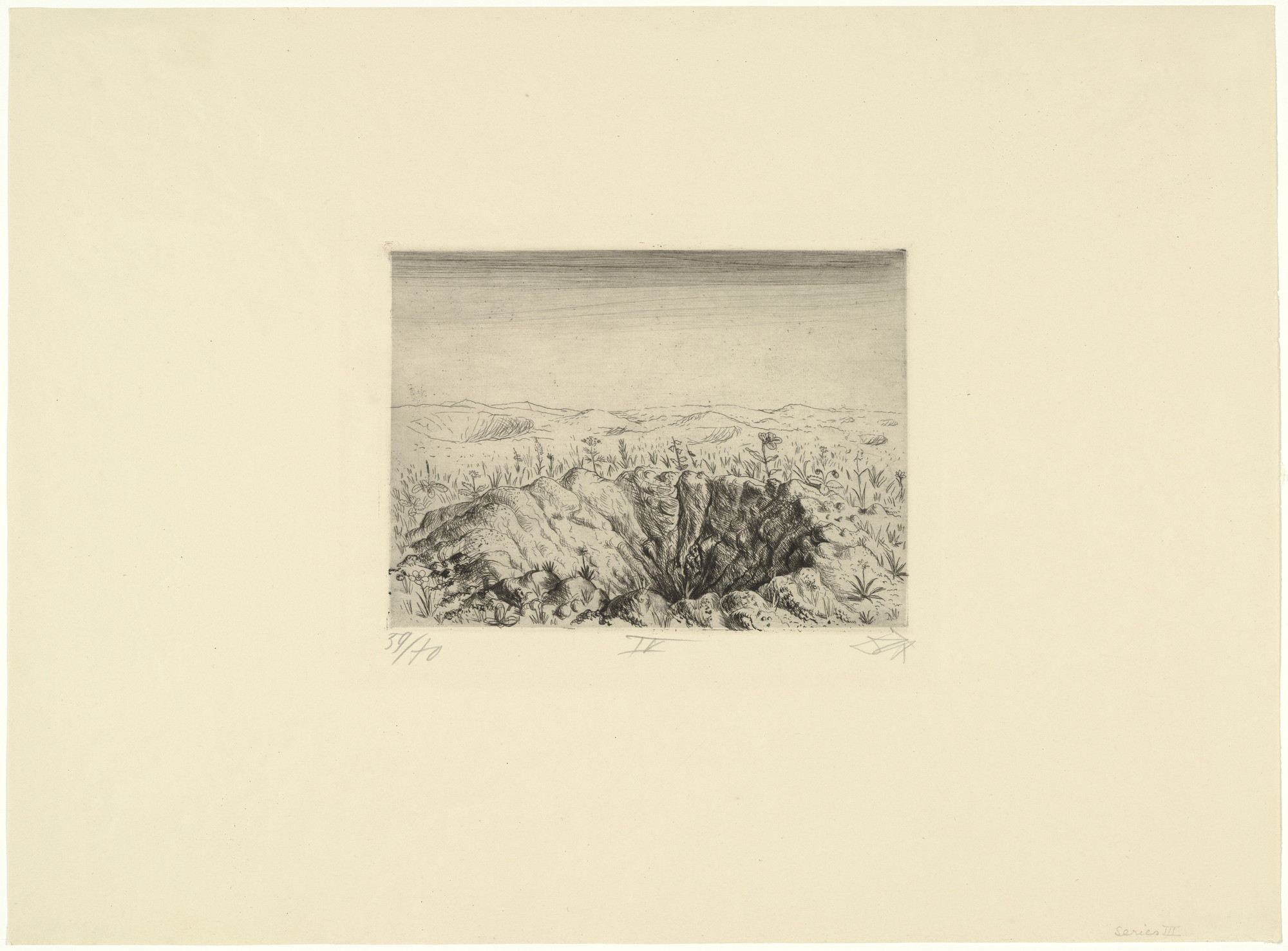 Otto Dix. Shell Crater with Flowers (Spring 1916) (Granattrichter