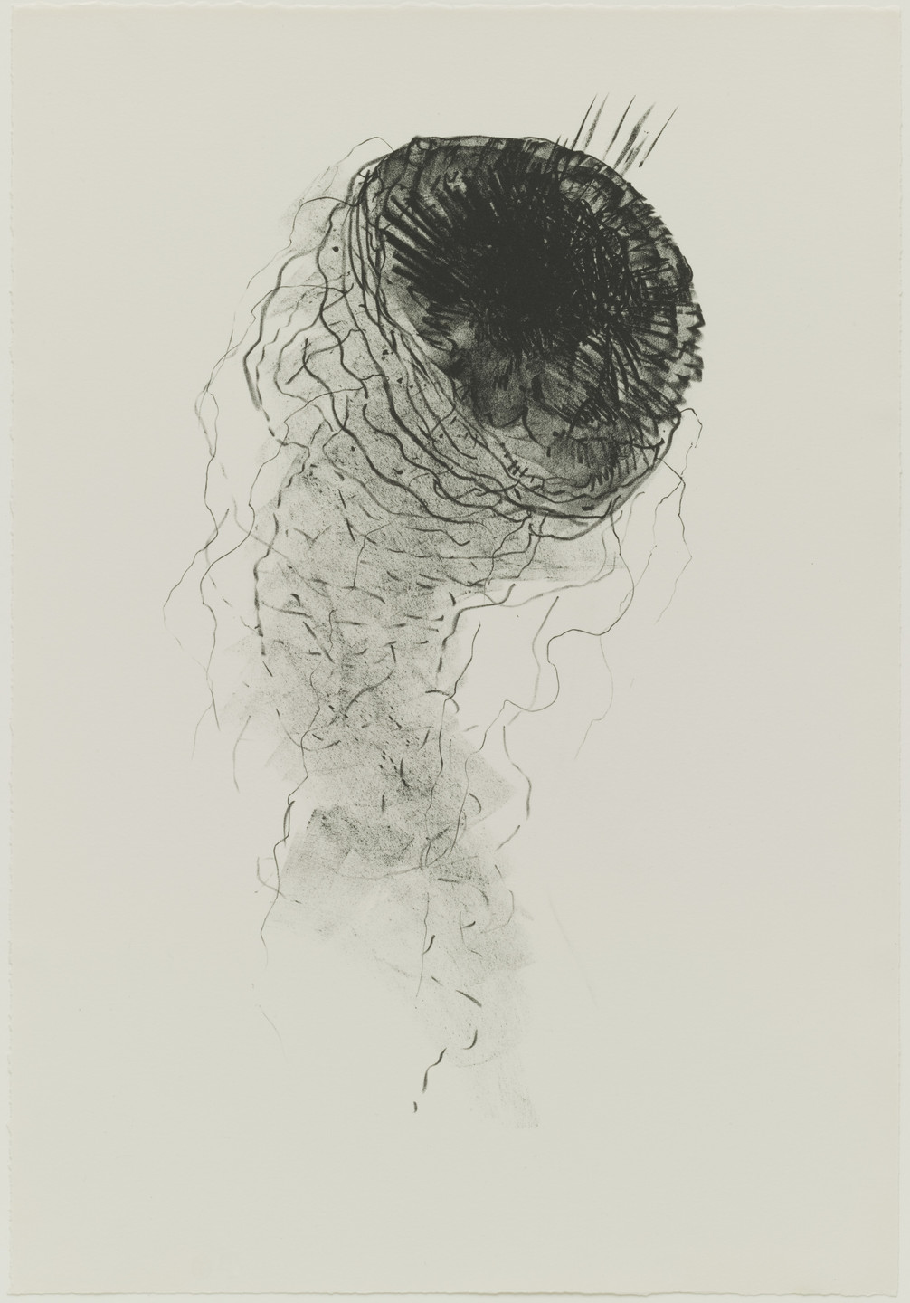 Bruce Conner. Jelly Fish. 1965