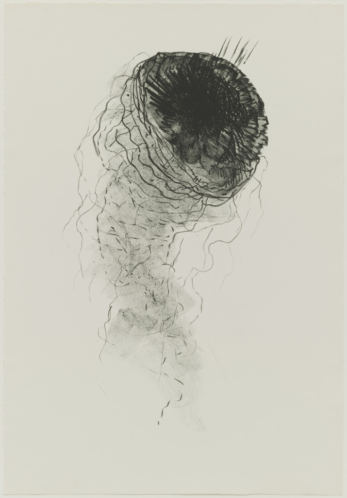 Jelly Fish