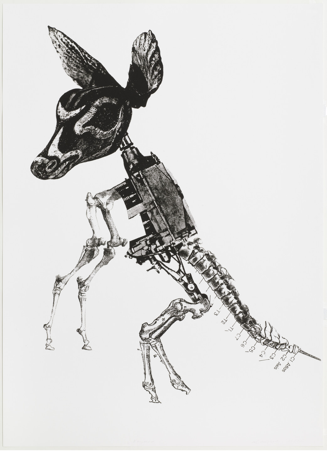 Nicolas Lampert. Kangaroo. 2006