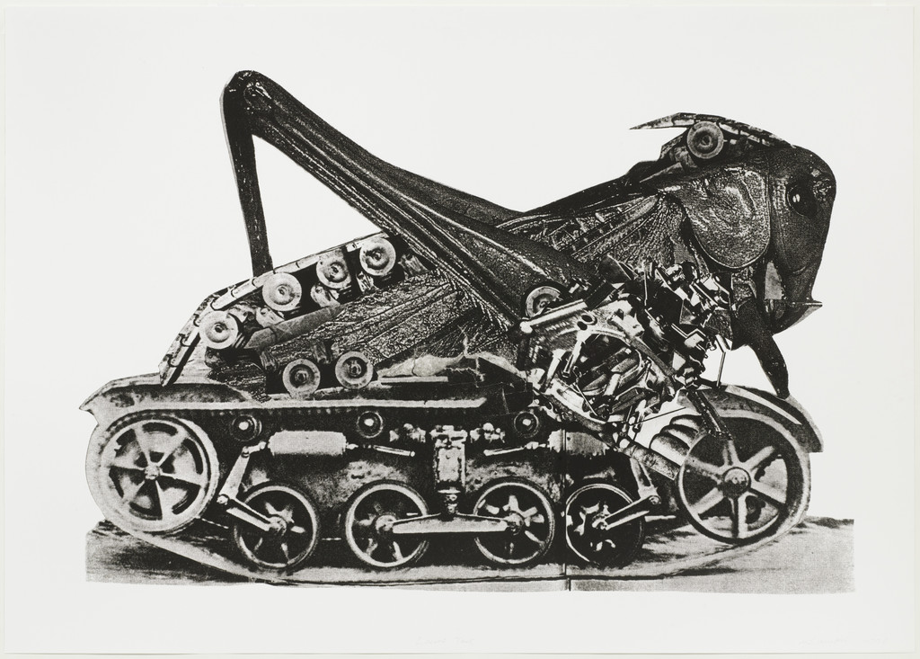 Grasshopper
