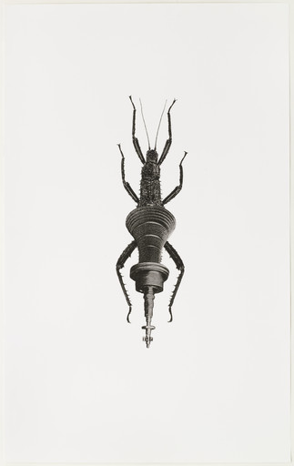 Machine Insect