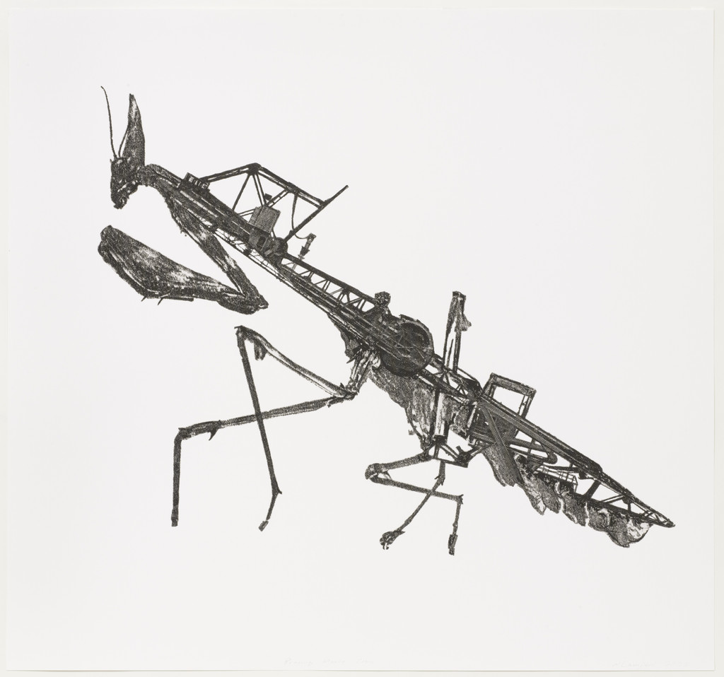 Praying Mantis Crane, Nicolas Lampert, 2006