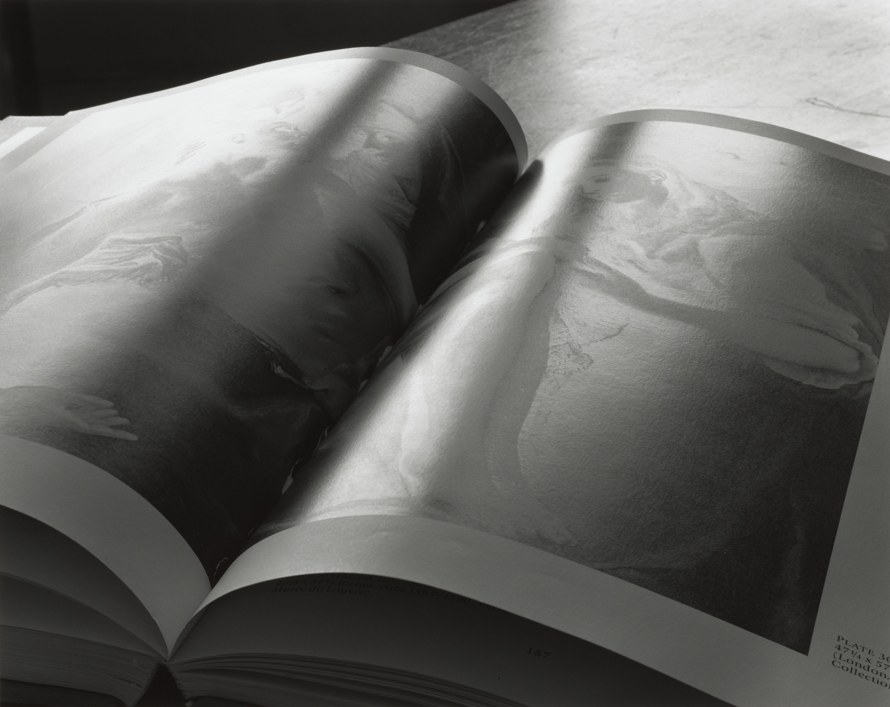 Abelardo Morell. Book: Pieta by El Greco. 1993