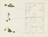 William Leavitt. The House and Grounds. 1970