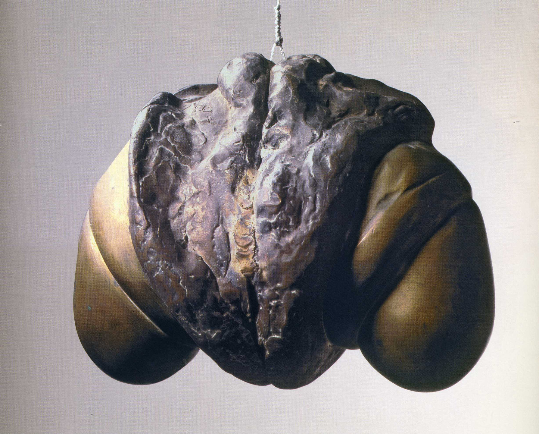 Louise Bourgeois. Janus Fleuri. 1968