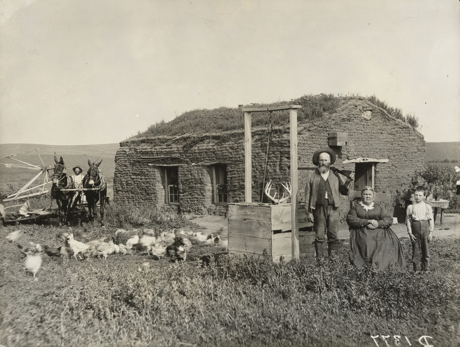 Solomon D. Butcher. James McCrea, South of the Middle Loup River, Near Berwyn, Custer County, Nebraska. c. 1888