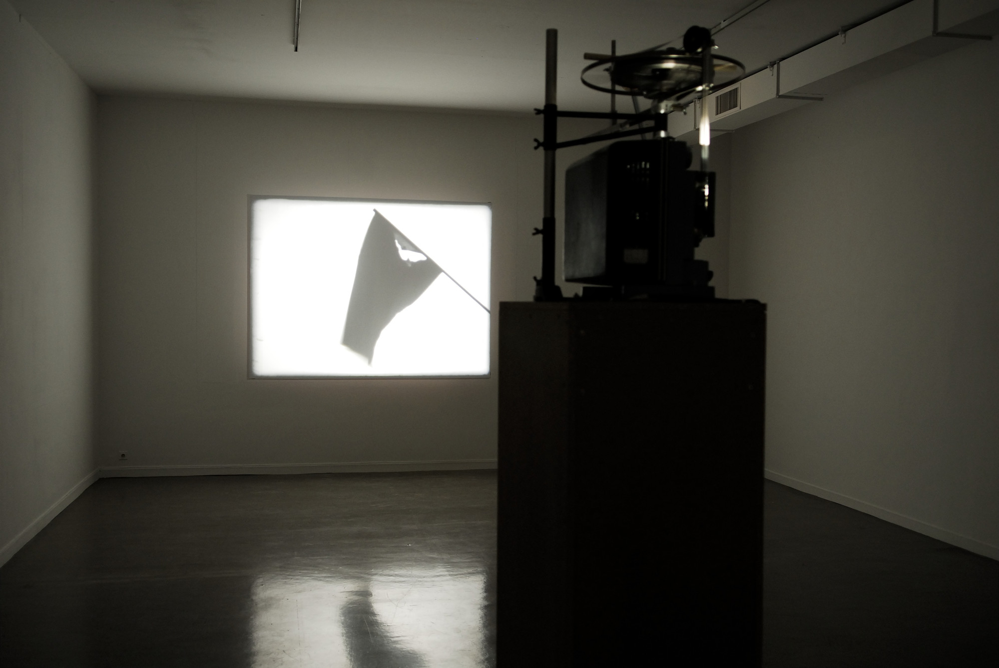 Mircea Cantor. Shadow for a While. 2007