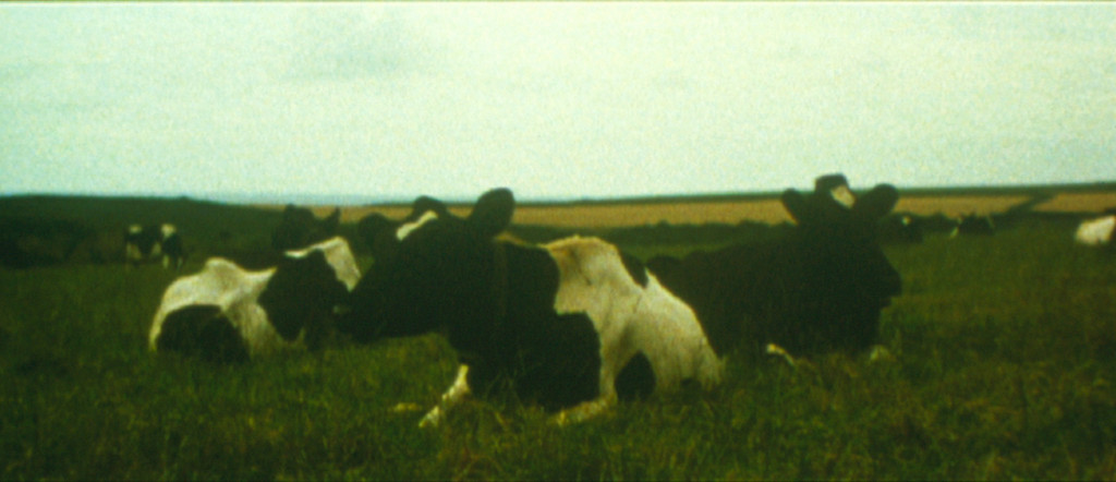 Banewl from The Sun Quartet, Tacita Dean, 1999