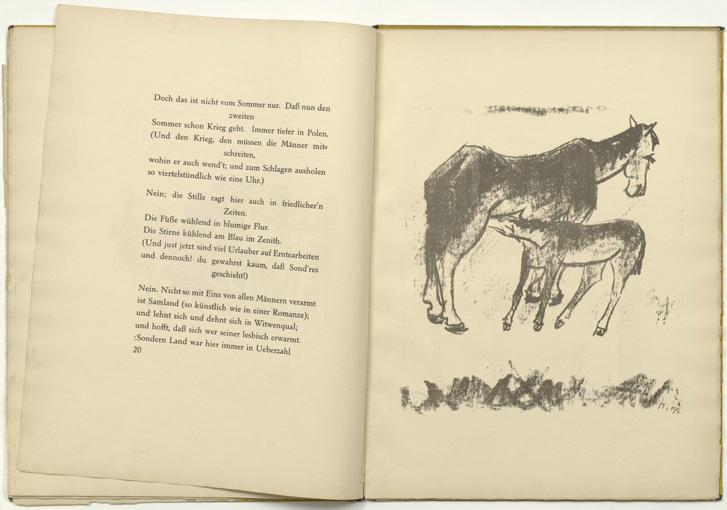 Untitled (plate, facing page 20) from Die Samländische Ode (The Samland Ode)