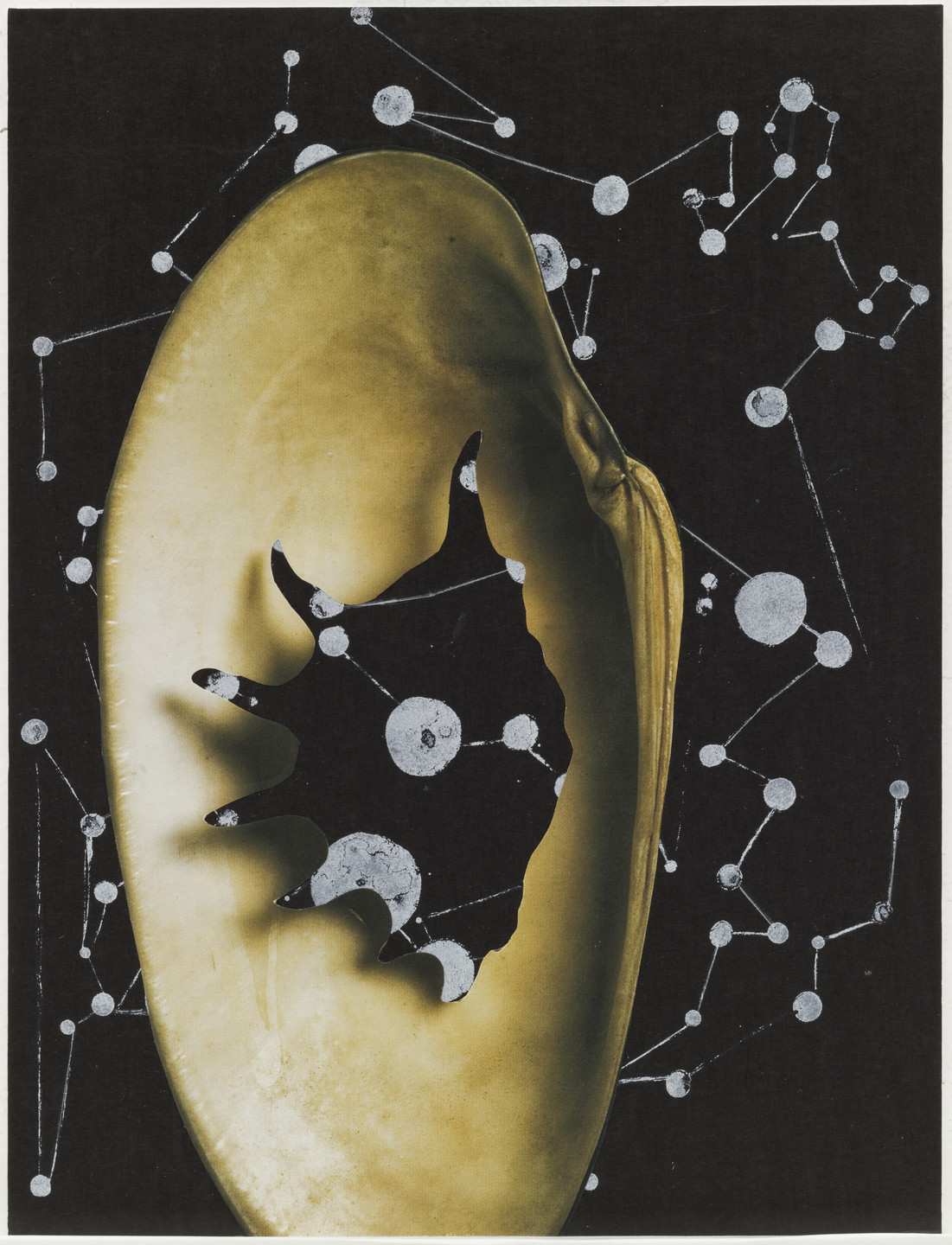 Wangechi Mutu. Untitled from Eve. 2006