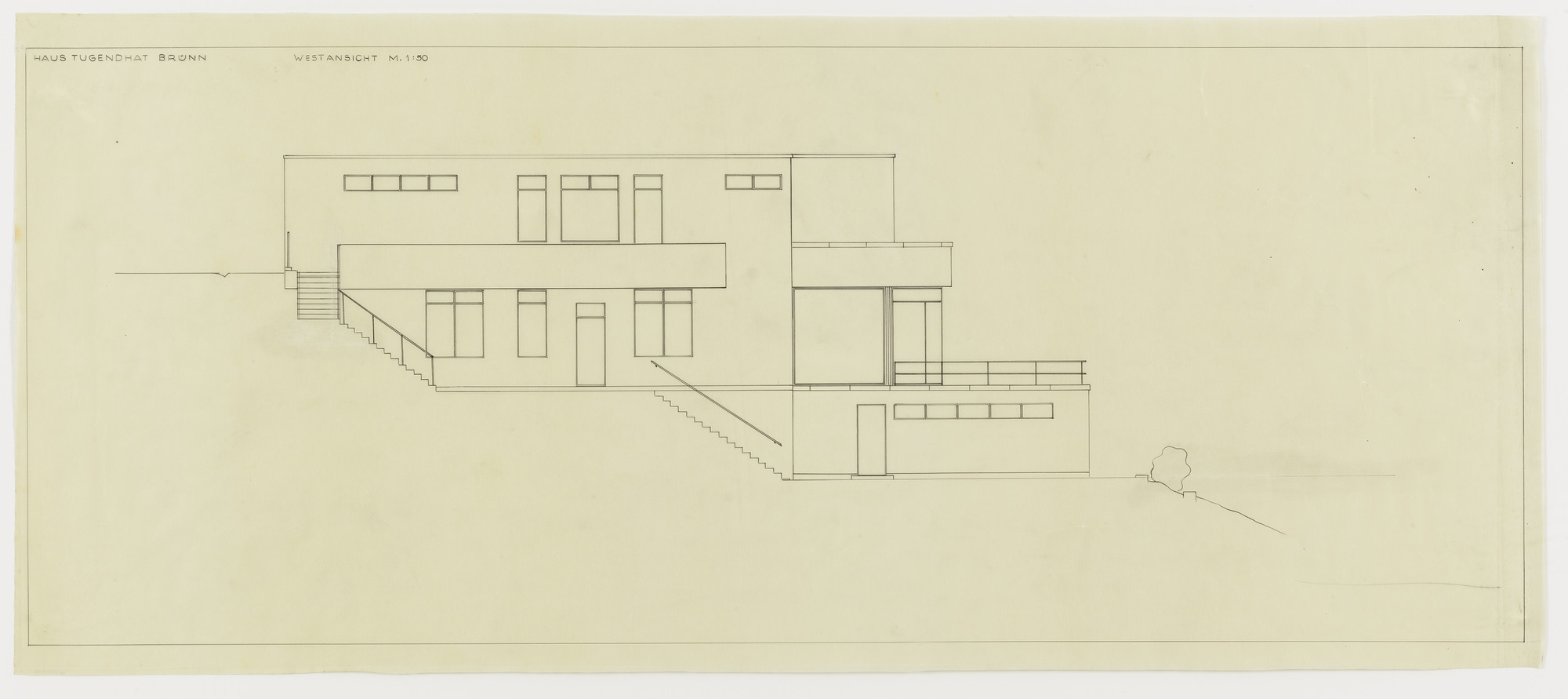 Ludwig Mies van der Rohe. Tugendhat House, Brno, Czech Republic (Elevation)