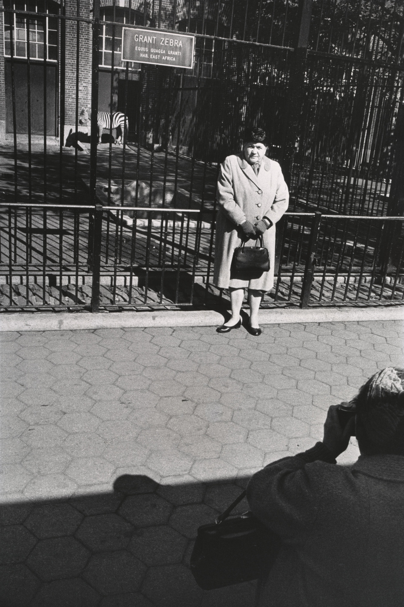 Garry Winogrand. New York
