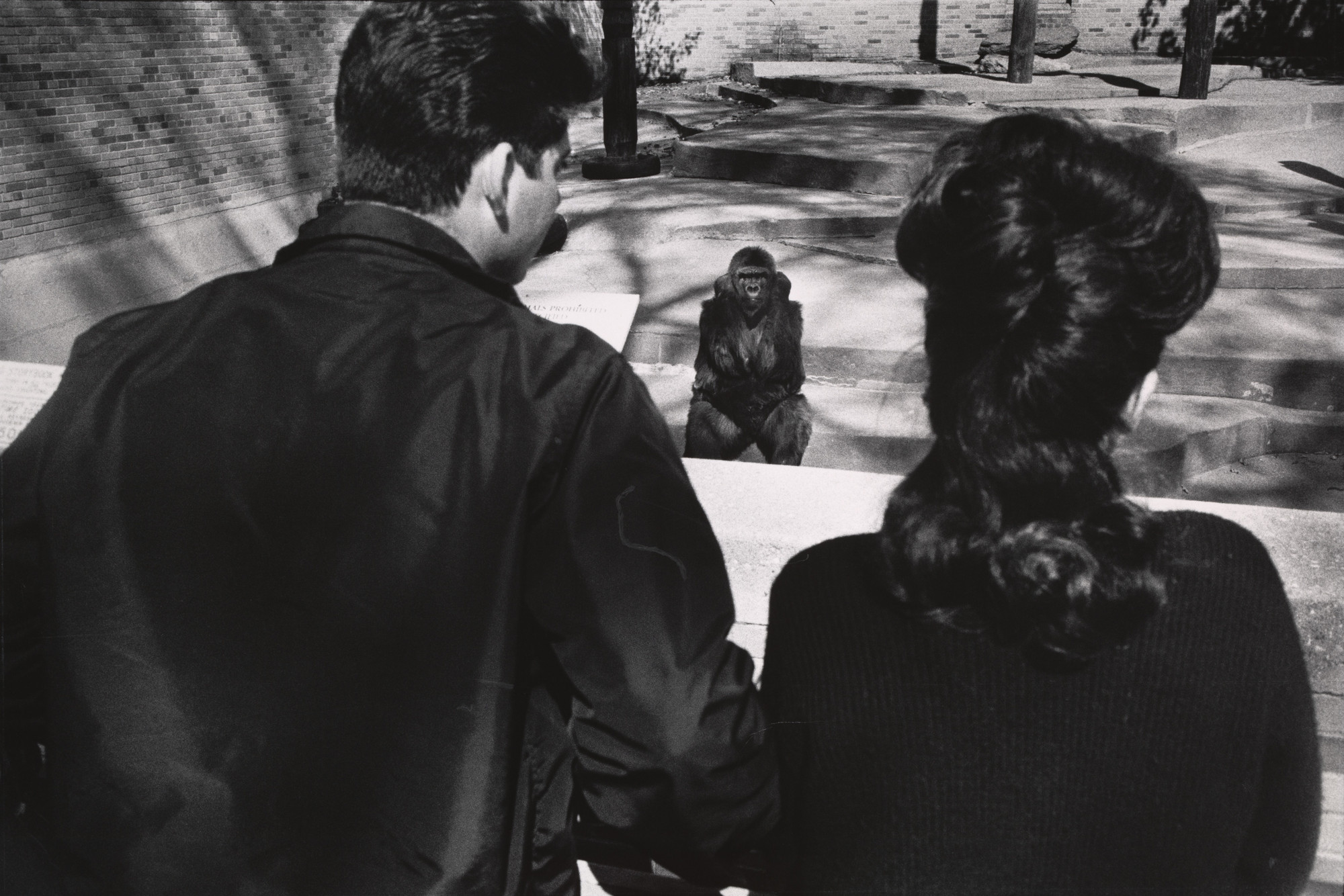 Garry Winogrand. Untitled