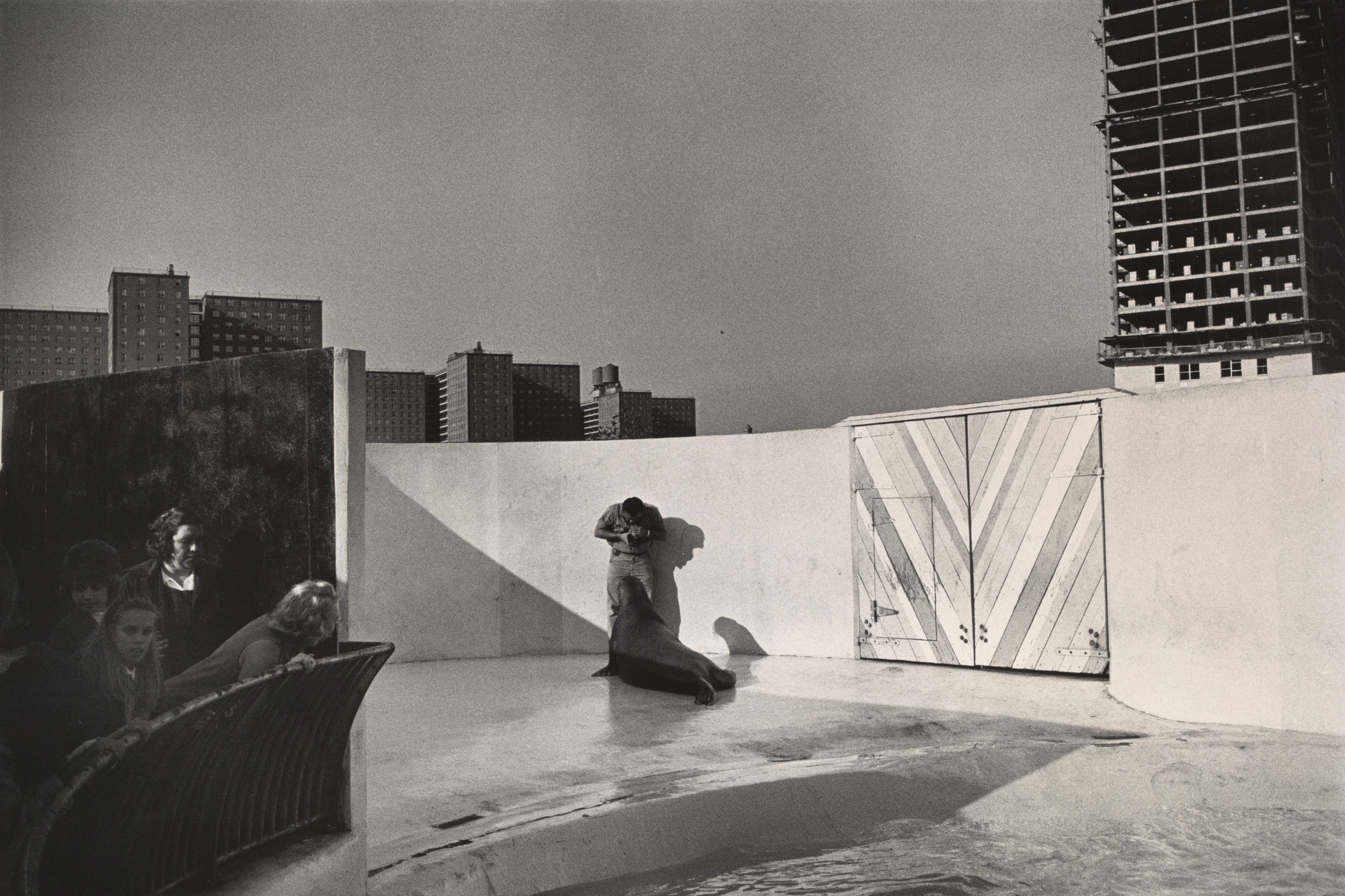 Garry Winogrand. Aquarium at Coney Island