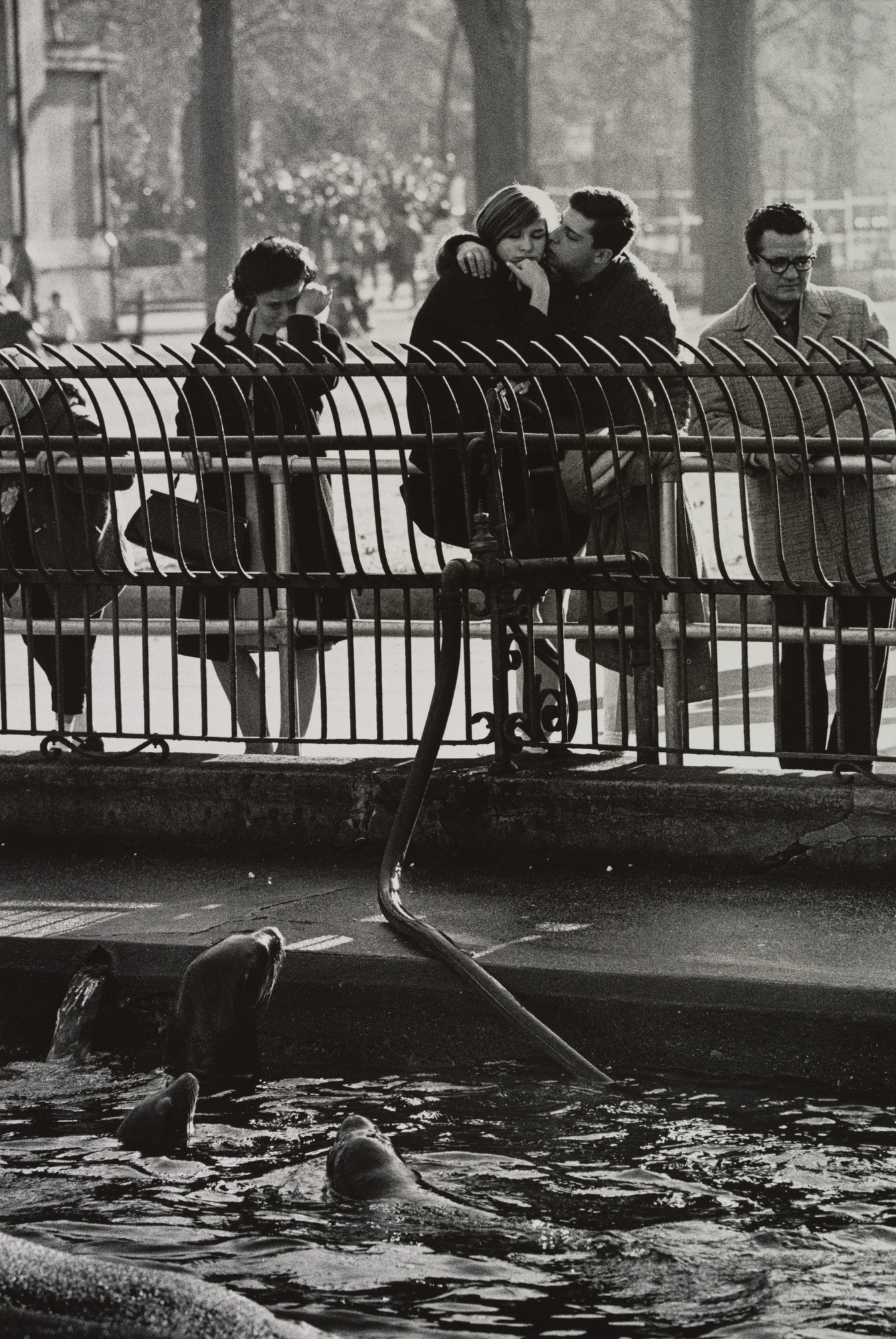 Garry Winogrand. Central Park Zoo, New York