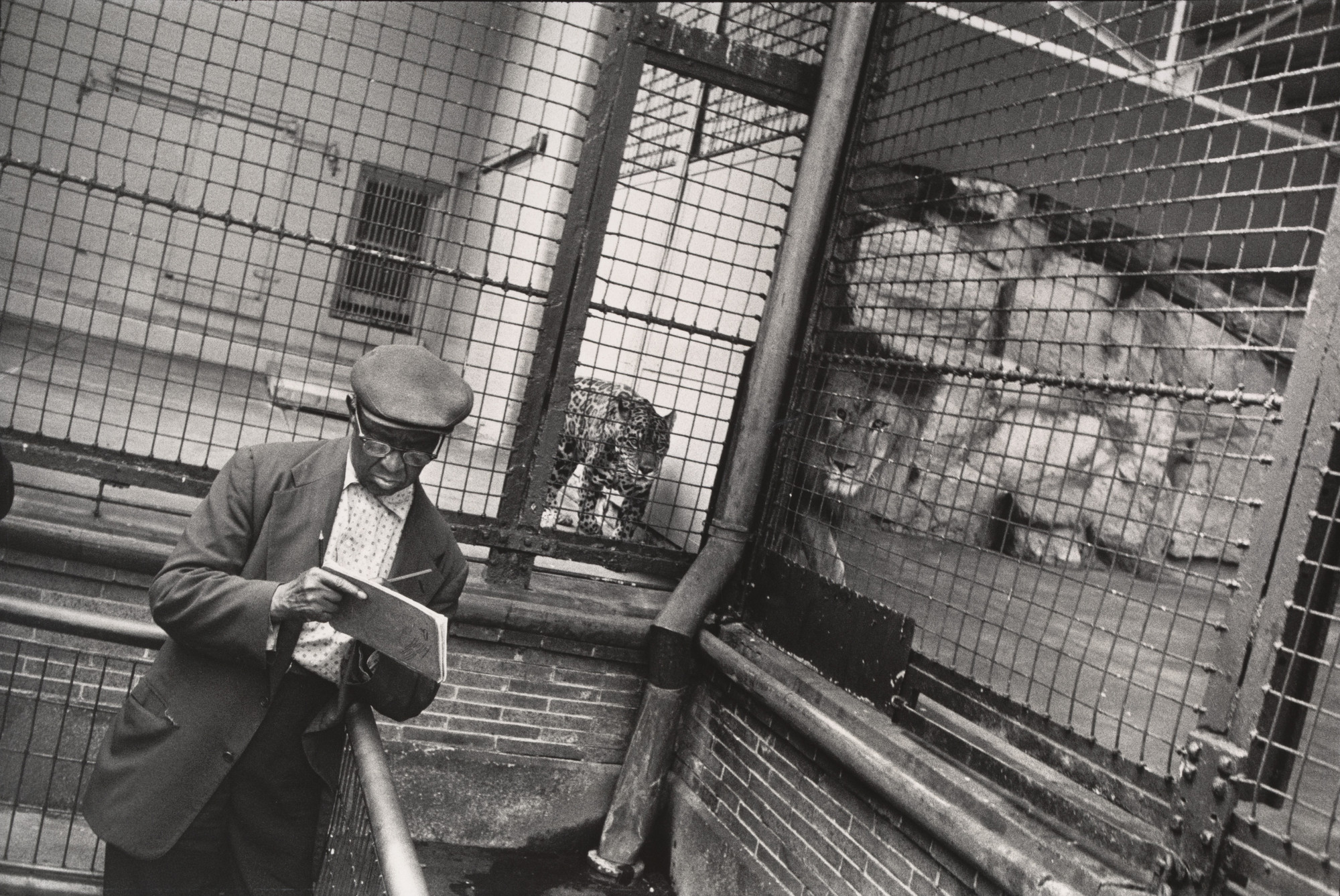 Garry Winogrand. Untitled