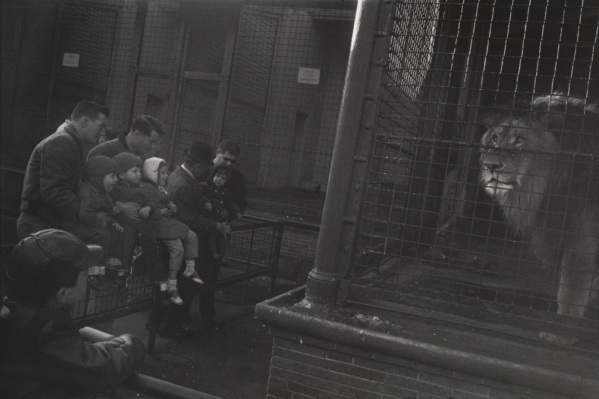 Garry Winogrand. Untitled
